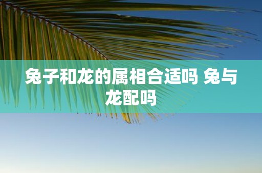 兔子和龙的属相合适吗 兔与龙配吗