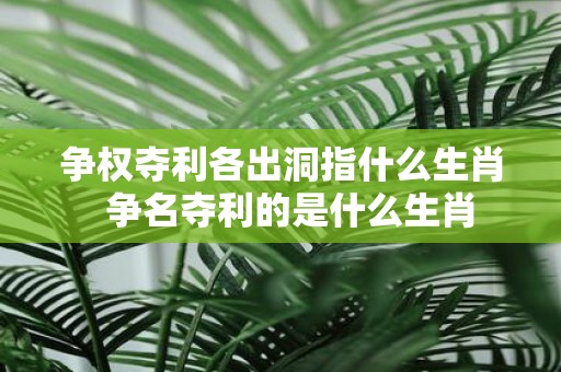 争权夺利各出洞指什么生肖 争名夺利的是什么生肖
