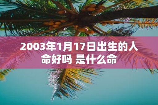 2003年1月17日出生的人命好吗 是什么命
