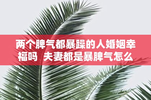 两个脾气都暴躁的人婚姻幸福吗 夫妻都是暴脾气怎么相处
