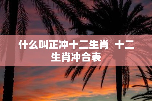什么叫正冲十二生肖 十二生肖冲合表