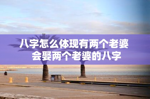 八字怎么体现有两个老婆 会娶两个老婆的八字