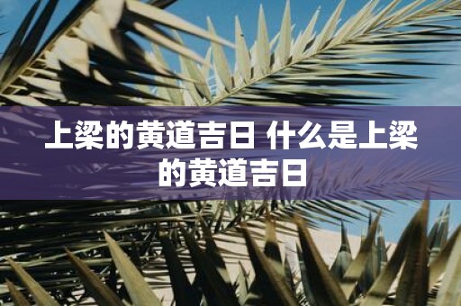 上梁的黄道吉日 什么是上梁的黄道吉日