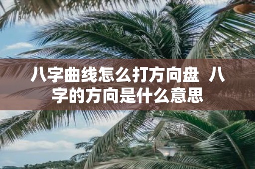 八字曲线怎么打方向盘 八字的方向是什么意思