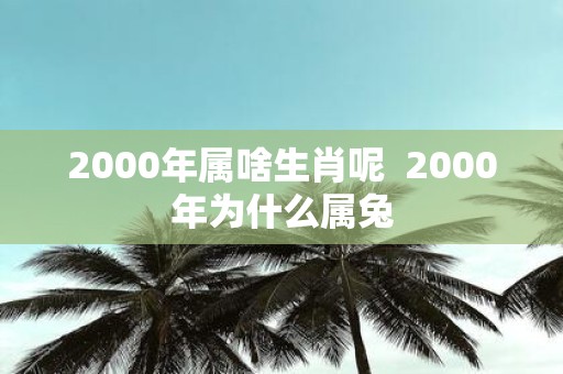 2000年属啥生肖呢 2000年为什么属兔