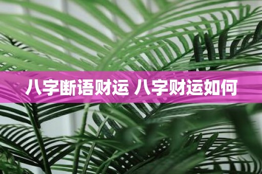 八字断语财运 八字财运如何
