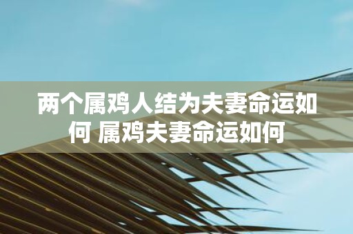 两个属鸡人结为夫妻命运如何 属鸡夫妻命运如何