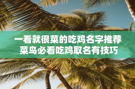 一看就很菜的吃鸡名字推荐 菜鸟必看吃鸡取名有技巧