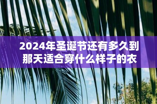 2025年圣诞节还有多久到 那天适合穿什么样子的衣服