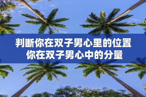 判断你在双子男心里的位置 你在双子男心中的分量