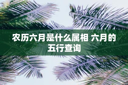 农历六月是什么属相 六月的五行查询