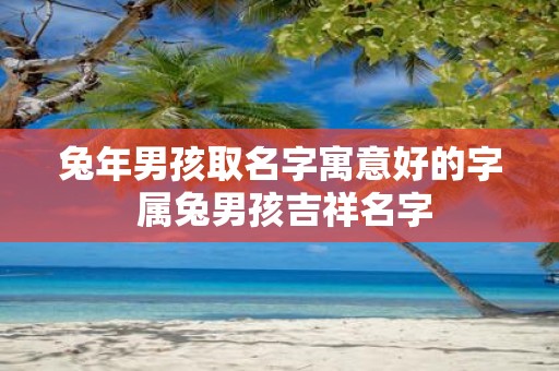 蛇年男孩取名字寓意好的字 属兔男孩吉祥名字