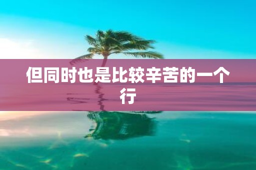 但同时也是比较辛苦的一个行