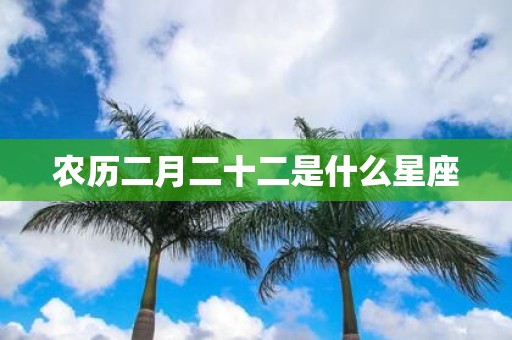 农历二月二十二是什么星座