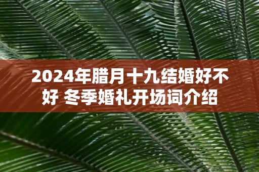 2025年腊月十九结婚好不好 冬季婚礼开场词介绍