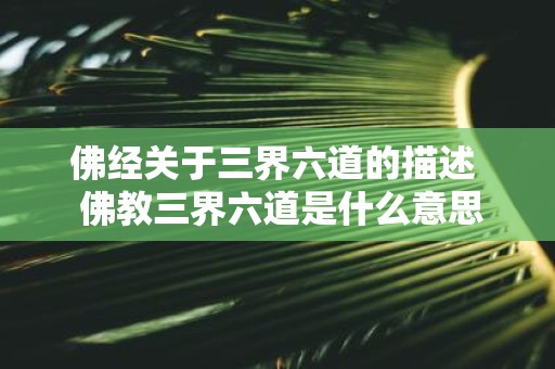 佛经关于三界六道的描述 佛教三界六道是什么意思