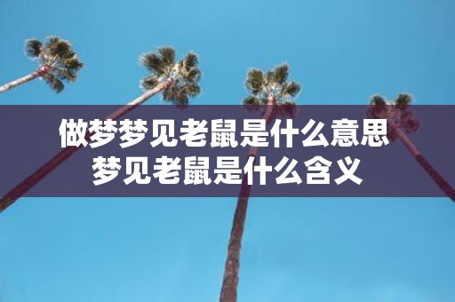 做梦梦见老鼠是什么意思 梦见老鼠是什么含义