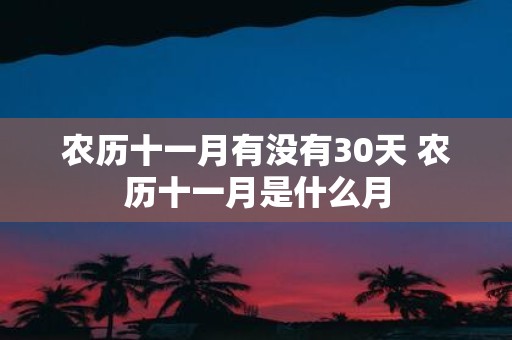 农历十一月有没有30天 农历十一月是什么月