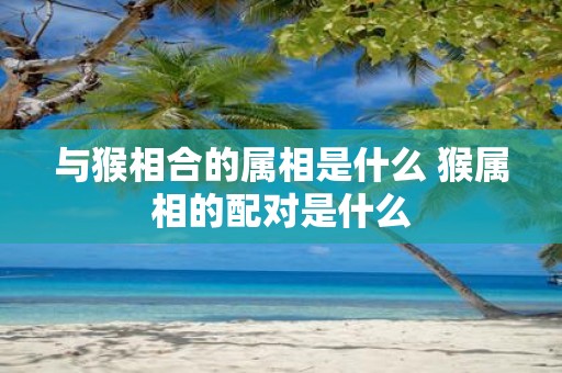 与猴相合的属相是什么 猴属相的配对是什么