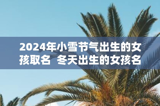 2025年小雪节气出生的女孩取名 冬天出生的女孩名字好听