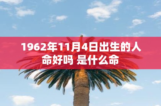1962年11月4日出生的人命好吗 是什么命