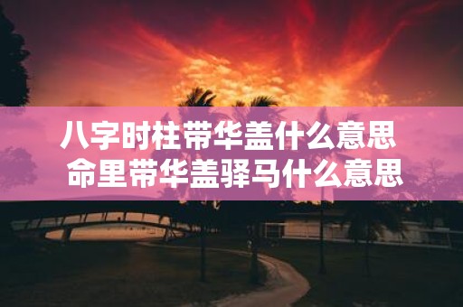 八字时柱带华盖什么意思 命里带华盖驿马什么意思