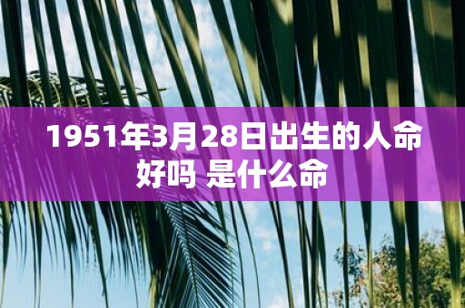 1951年3月28日出生的人命好吗 是什么命