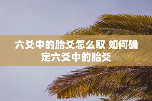 六爻中的胎爻怎么取 如何确定六爻中的胎爻