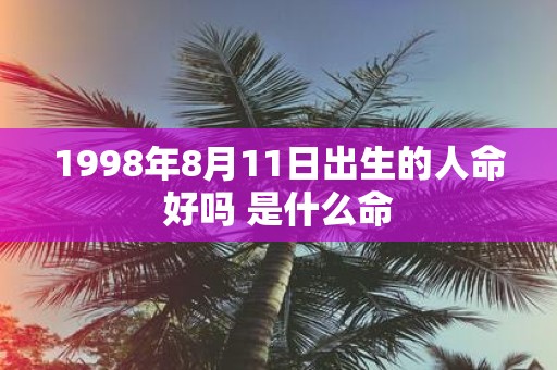 1998年8月11日出生的人命好吗 是什么命