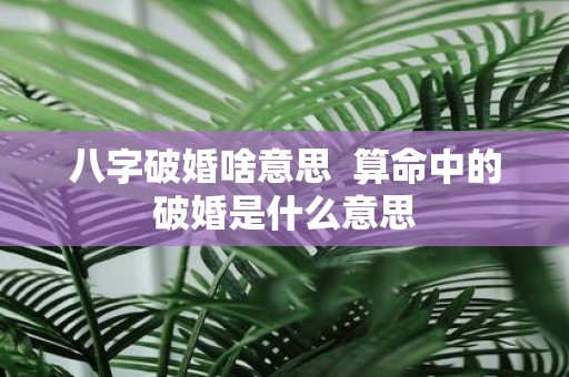 八字破婚啥意思 算命中的破婚是什么意思