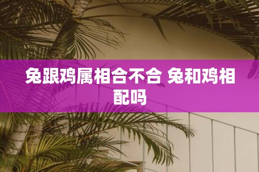 兔跟鸡属相合不合 兔和鸡相配吗