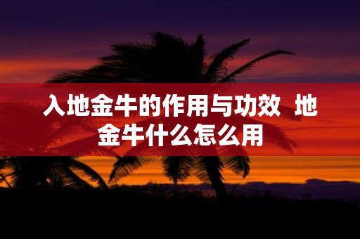 入地金牛的作用与功效 地金牛什么怎么用
