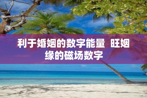 利于婚姻的数字能量 旺姻缘的磁场数字