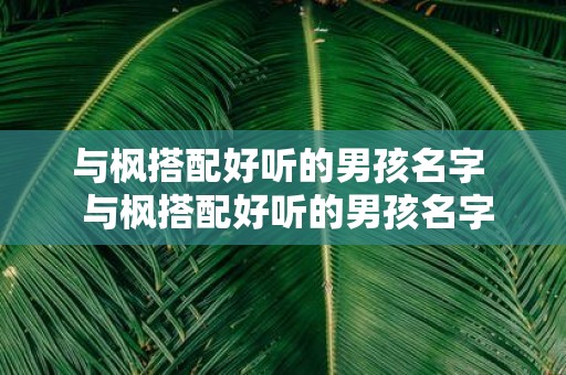 与枫搭配好听的男孩名字 与枫搭配好听的男孩名字五字