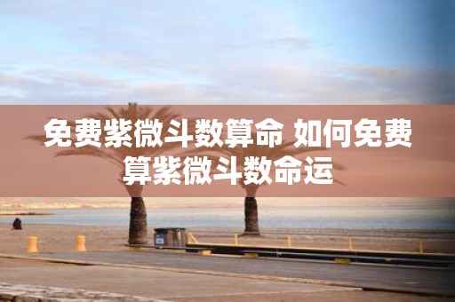 免费紫微斗数算命 如何免费算紫微斗数命运