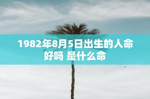 1982年8月5日出生的人命好吗 是什么命