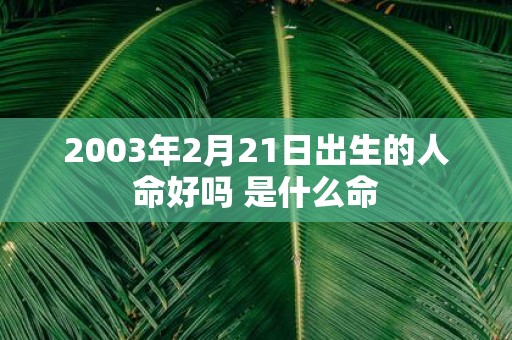 2003年2月21日出生的人命好吗 是什么命