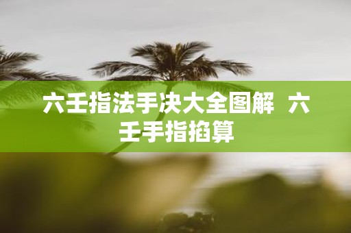 六壬指法手决大全图解 六壬手指掐算