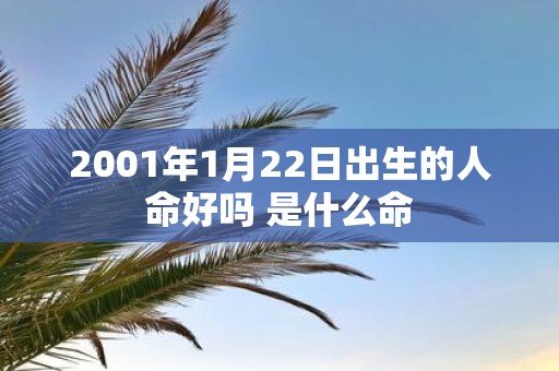 2001年1月22日出生的人命好吗 是什么命