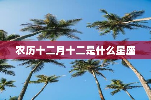 农历十二月十二是什么星座