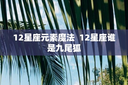 12星座元素魔法 12星座谁是九尾狐