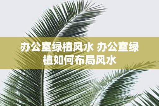 办公室绿植风水 办公室绿植如何布局风水