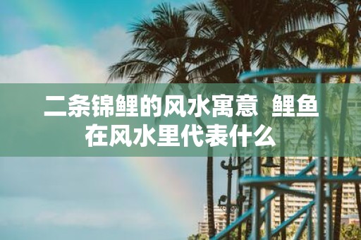 二条锦鲤的风水寓意 鲤鱼在风水里代表什么