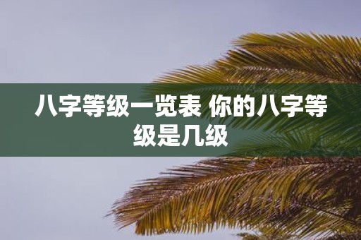 八字等级一览表 你的八字等级是几级