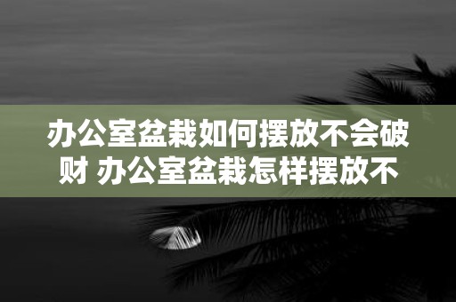 办公室盆栽如何摆放不会破财 办公室盆栽怎样摆放不招破财