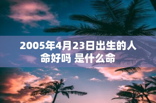 2005年4月23日出生的人命好吗 是什么命