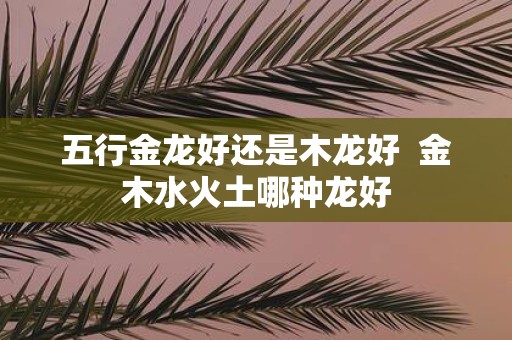 五行金龙好还是木龙好 金木水火土哪种龙好