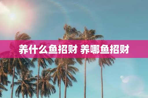 养什么鱼招财 养哪鱼招财