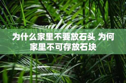 为什么家里不要放石头 为何家里不可存放石块