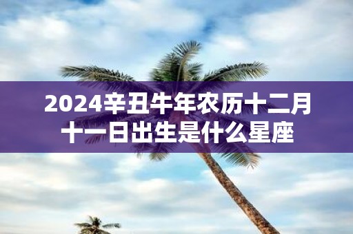 2025辛丑牛年农历十二月十一日出生是什么星座